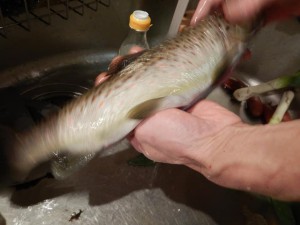 53521641_2120880704656651_7952611868189655040_n