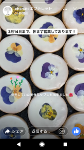 53560119_782433478802449_6176605817135955968_n