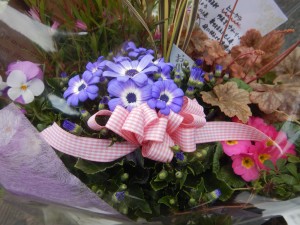 53717331_584422168701727_5239135578791870464_n