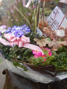 53808716_304472716893553_4919532961918877696_n