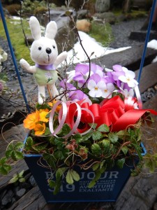 53817631_316797195687657_2450958993388994560_n