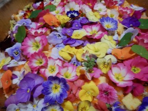 53843170_2120880851323303_2638685807669411840_n