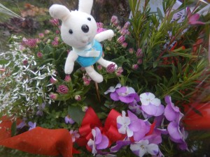 54080455_800166850350522_4204447759270412288_n