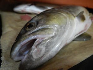 54224971_2120880777989977_2894235472723181568_n