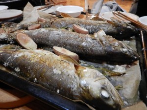 54279457_2120881257989929_7590660650439802880_n