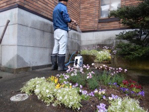 54279526_1231182023717927_3009993457054777344_n