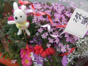 54346105_337708433756545_1200602474885414912_n