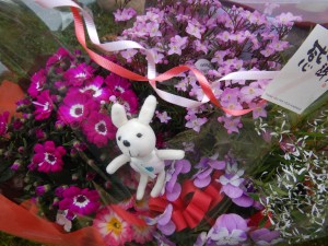 54358227_315712125794317_1100873716524384256_n