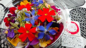 54402622_2233205646761288_6431697234949046272_n