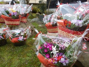 54405730_339855366636419_2686108942471266304_n