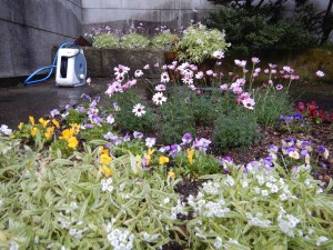 54407653_158075628463846_3657699195583725568_n