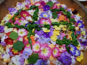 54437086_2120880911323297_1328881345446805504_n