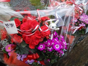 54516959_2243366609218991_3760573691071561728_n