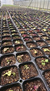 55919092_398813794231890_806947539428311040_n