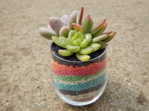 55540700_622605724851950_3561276522658529280_n