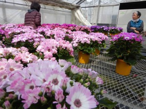 55653310_1039421812909028_1894181620936605696_n