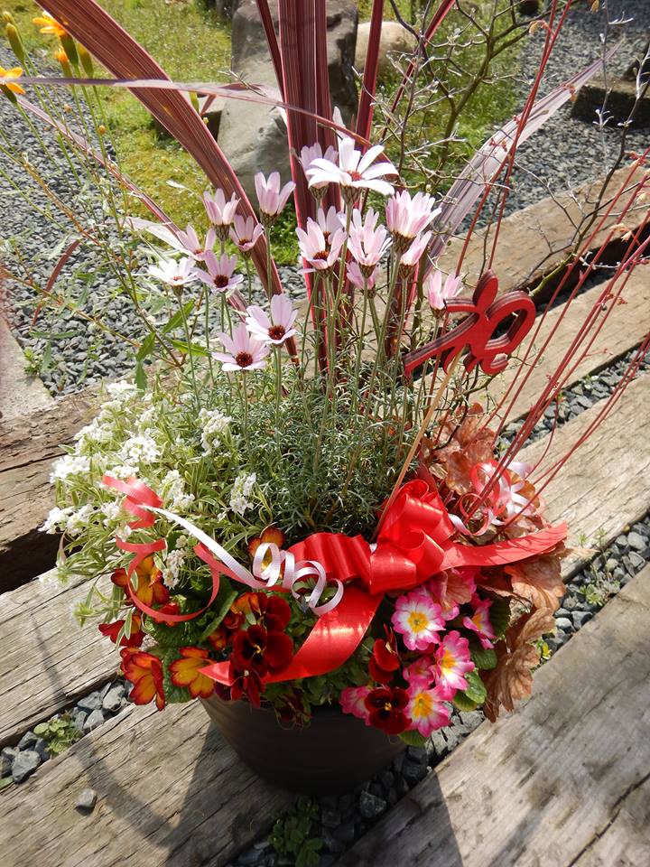 100歳のお祝に🌸