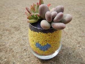 55865053_867824943569018_6358722502184665088_n