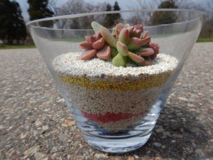 55869181_311861639498867_36765645903233024_n