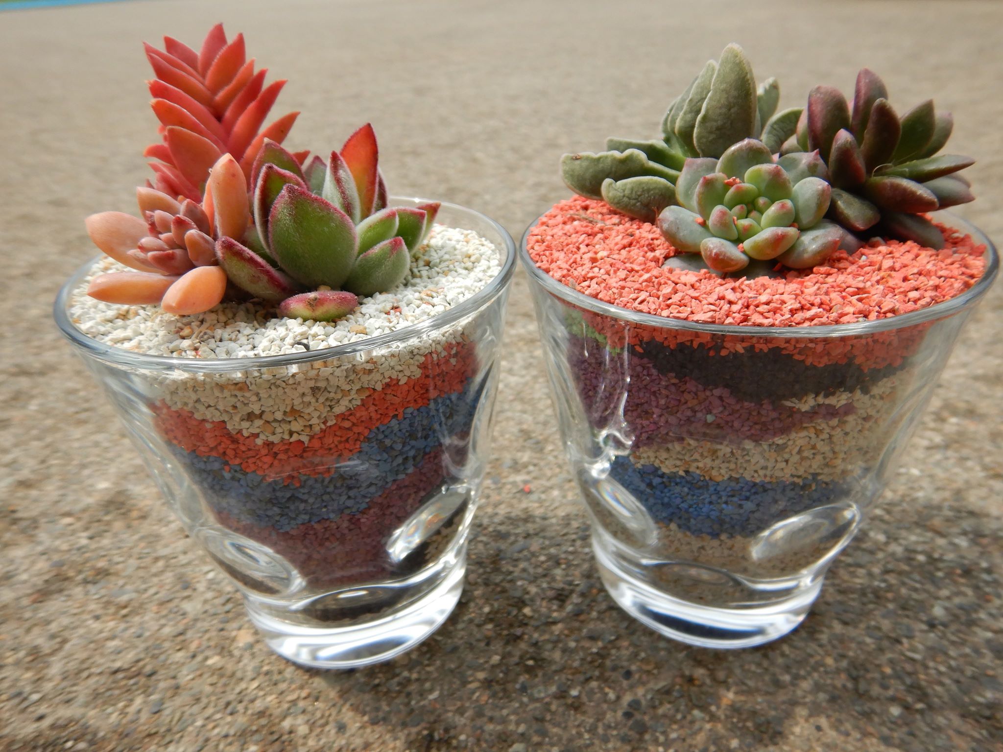 今年度最後のJOY☆ガーデニング隊