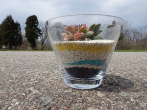 55949811_416850609125009_2319181652921679872_n