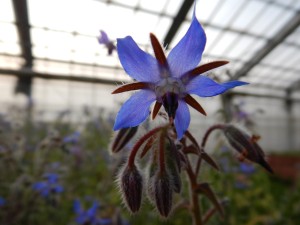 56162381_2158611364216918_4426803078087311360_o