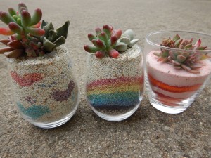 56293812_357969231477689_7448554858518413312_n