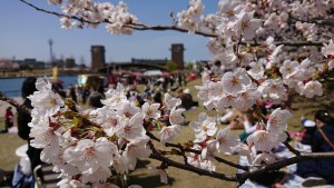 56296912_2159695397441848_7266548940676268032_o