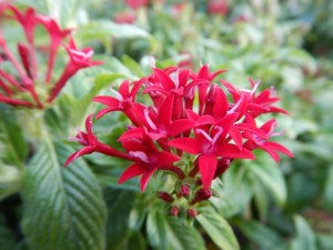 56317627_2158611480883573_3755716598455861248_o