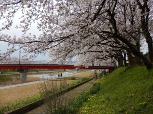 56395187_2161407110604010_8227161948869885952_o