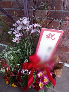 56405448_405356040015876_8274845676517457920_n