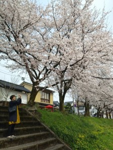 56509913_424761114954589_7061476578848407552_n