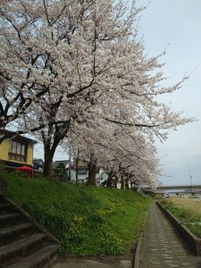 56539243_2321465134802389_8049624081210802176_n