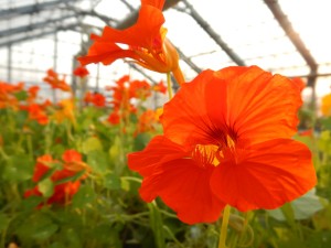 56587636_2158611404216914_8326468992982056960_o