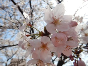 56644782_360623067885822_3562315428002791424_n