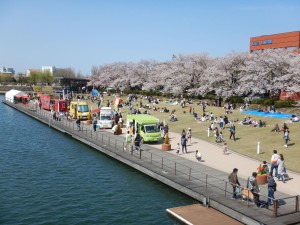 56673186_2329735497303596_1587809418890706944_n