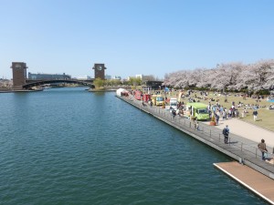 56811393_410794526432677_3782150837967519744_n