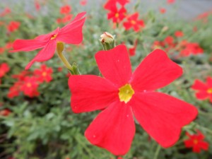 56852772_2158610634216991_6931437845437480960_o