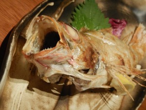 56951197_301105090795772_7050375814965100544_n