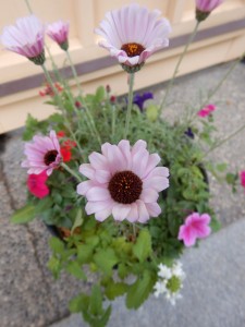 57154692_332117640781398_8160118016185466880_n