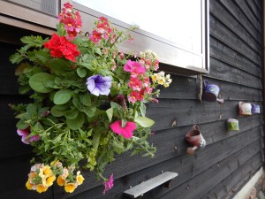 57180194_324094444964092_7205821607804141568_n