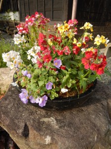 57194584_410600503098879_1397286928792944640_n