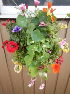 57319794_818435008549759_8358703852114935808_n