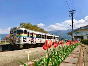 57350447_2185213864890001_4493426477638877184_n