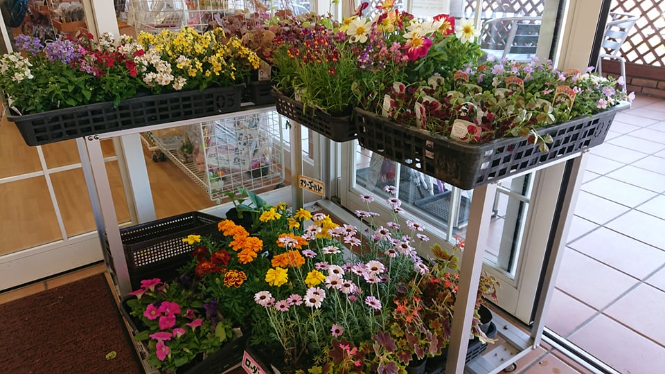 直売所もお花いっぱい