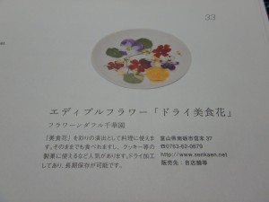 57402319_269716850601238_2997967372532318208_n