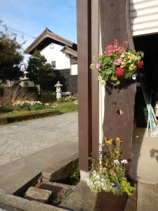 57433609_2223681427871331_2035933151070519296_n