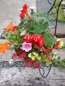 57504783_436582296886730_2083407129695223808_n