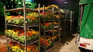 57821887_331880030858923_814154713594331136_n