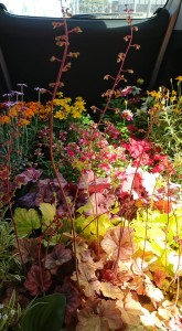 57909140_287466025488612_7225432192254476288_n